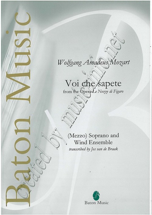 Voi che sapete (from the Opera 'Le Nozze di Figaro') - hier klicken