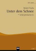 Unter dem Schnee