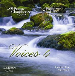 Voices #4 - hier klicken