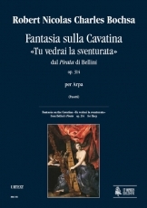 Fantasia on the Cavatina 'Tu vedrai la sventurata' from Bellini's 'Pirata' Op. 314 for Harp - hier klicken Fantasia on the Cavatina 'Tu vedrai la sventurata' from Bellini's 'Pirata' Op. 314 for Harp - hier klicken