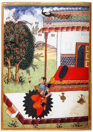 Marco Polo: El Libro de la India - hier klicken