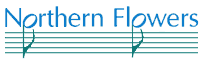 Northern Flowers - hier klicken
